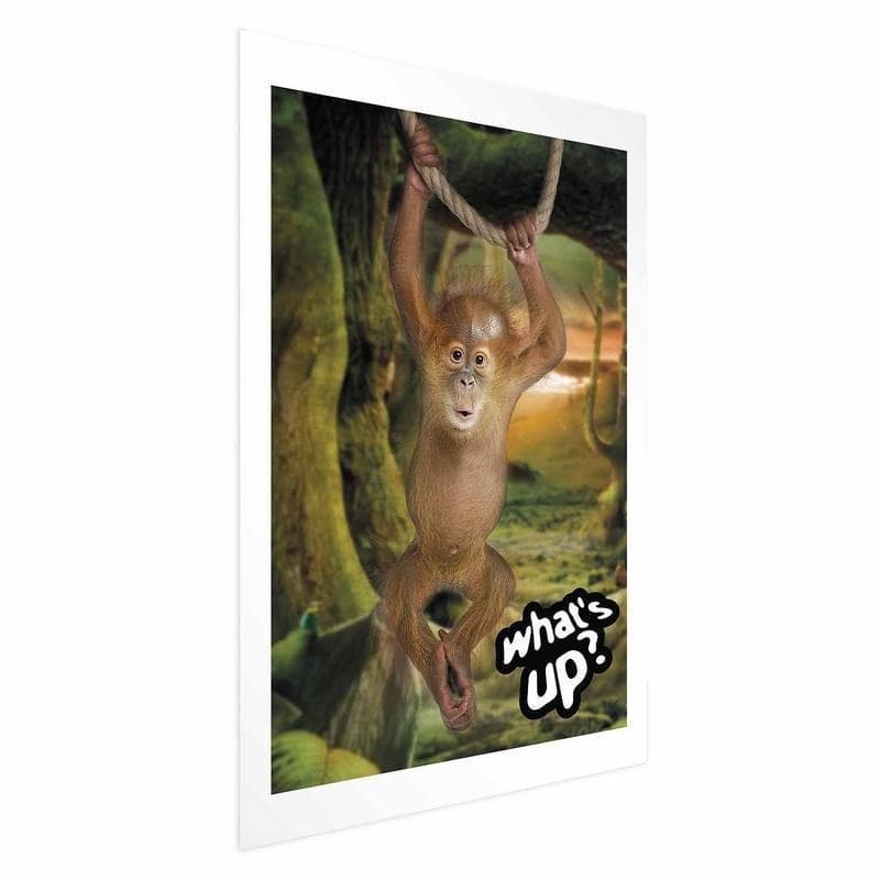 Poster - Whats Up? in Poster e stampe Collezione Casa - Trebisacce, commercioVirtuoso.it