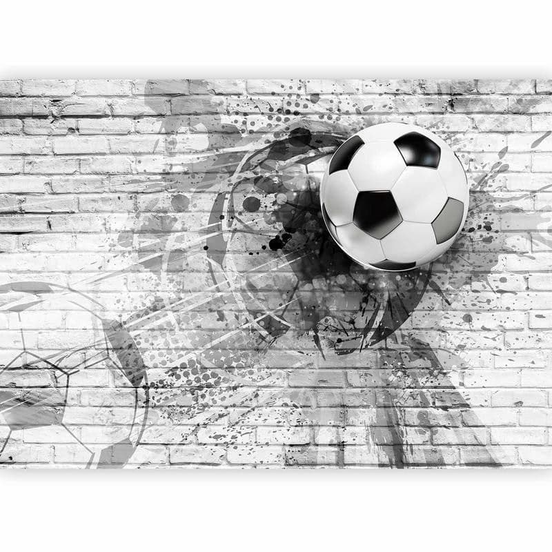 Carta da Parati Pallone nel Muro in Carta da parati Collezione Casa - Trebisacce, commercioVirtuoso.it