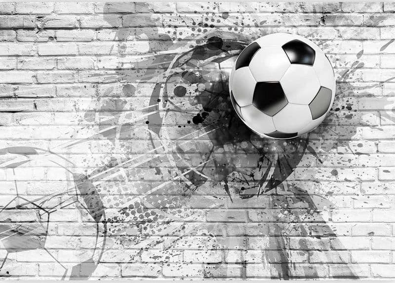 Carta da Parati Pallone nel Muro in Carta da parati Collezione Casa - Trebisacce, commercioVirtuoso.it