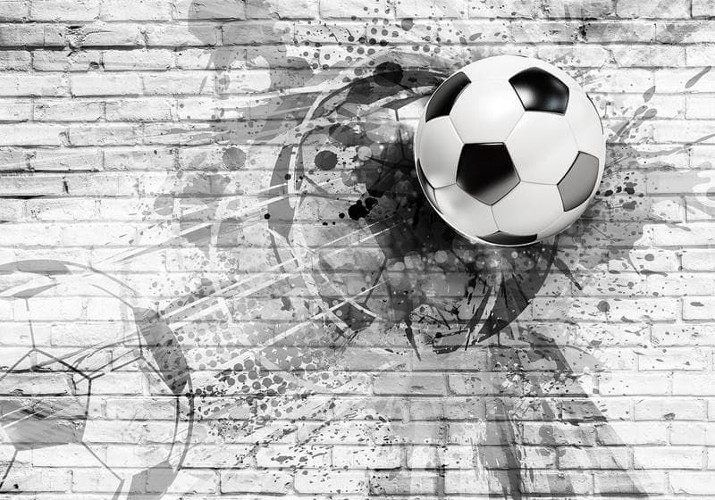 Carta da Parati Pallone nel Muro in Carta da parati Collezione Casa - Trebisacce, commercioVirtuoso.it