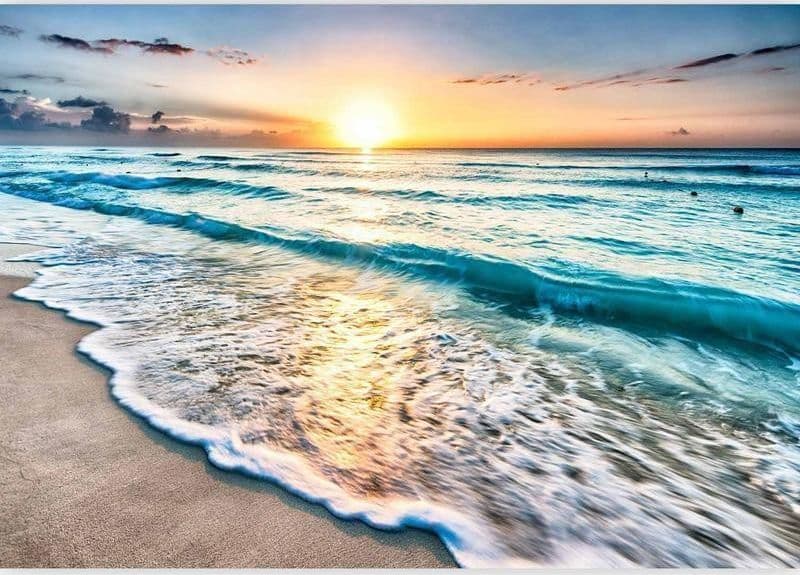 Fotomurale Walk Along the Seashore in Carta da parati Collezione Casa - Trebisacce, commercioVirtuoso.it