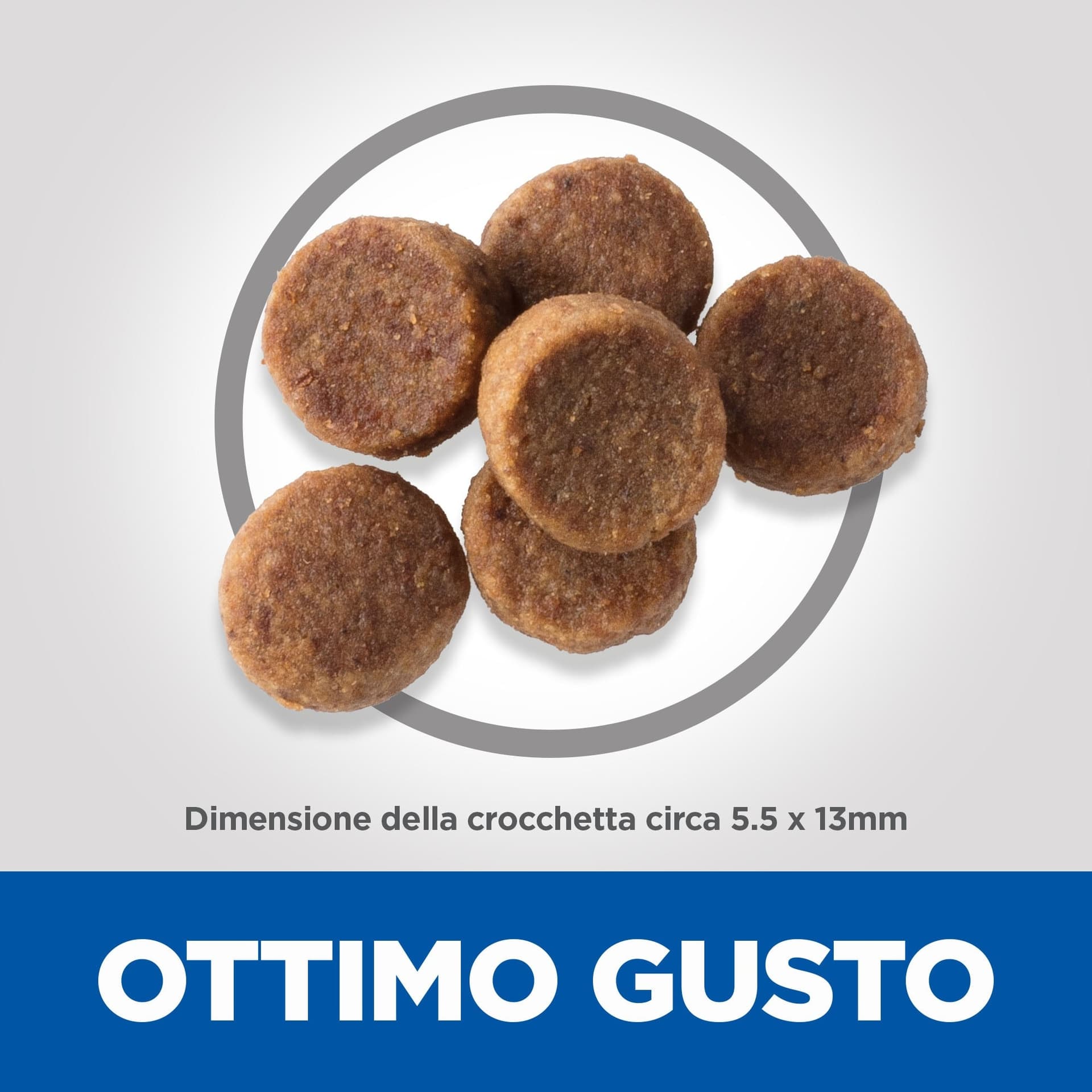 Hill's Mantenimento secco Cani Puppy Large pollo 12 kg in Secco 101 Market - Poggibonsi, commercioVirtuoso.it