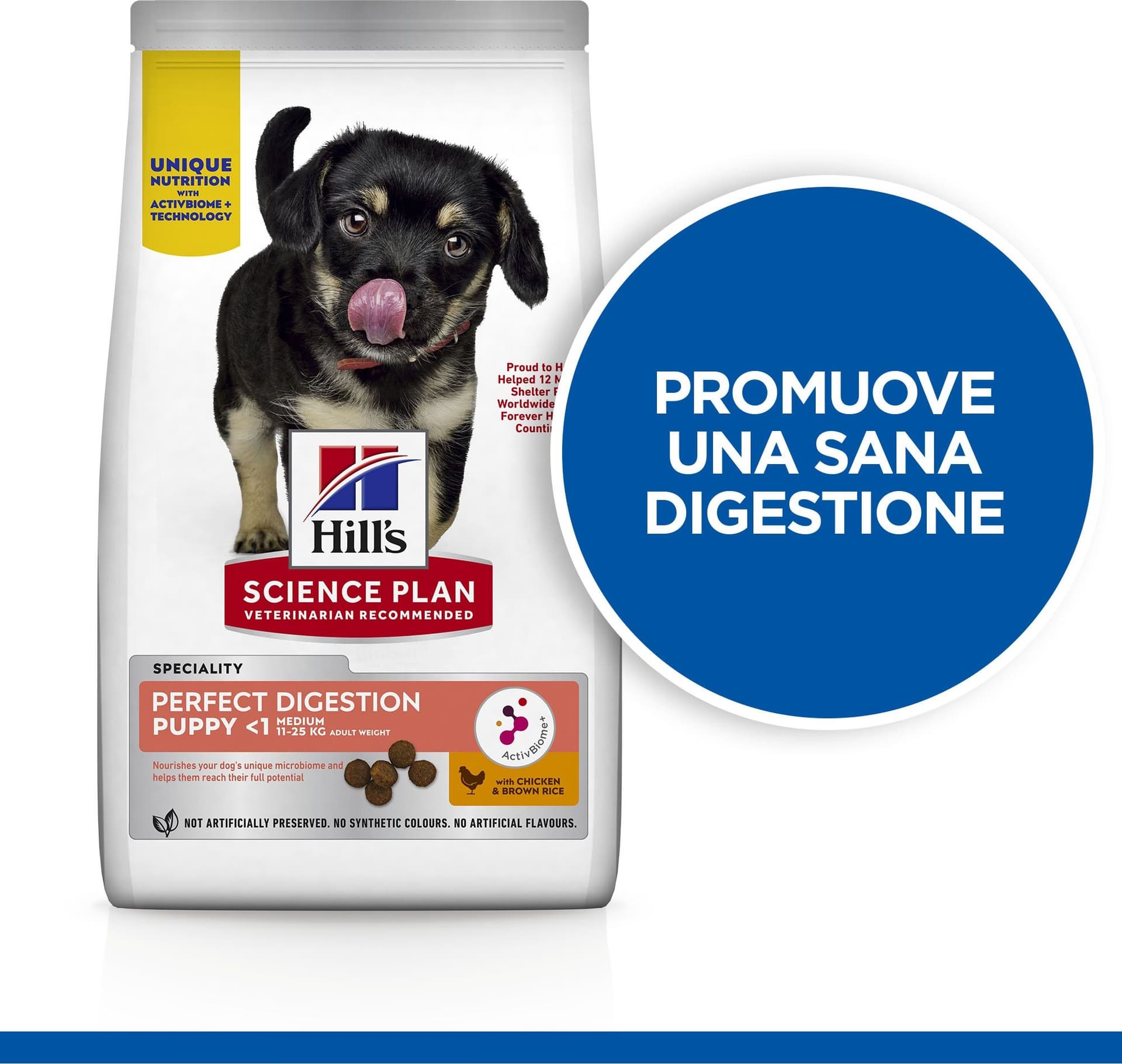Hill's Perfect Digestion secco Cani Puppy Medium pollo in Secco 101 Market - Poggibonsi, commercioVirtuoso.it