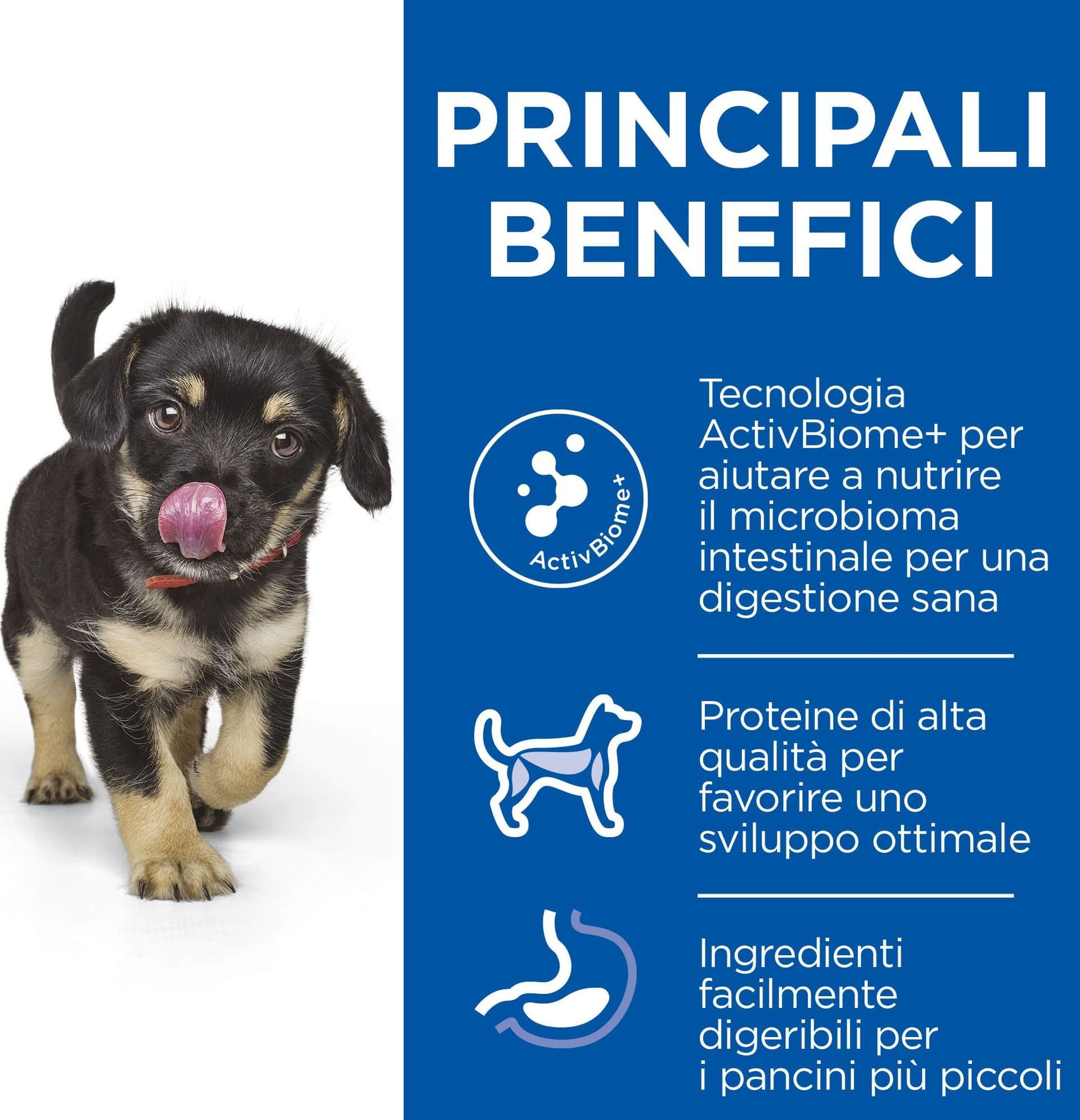 Hill's Perfect Digestion secco Cani Puppy Medium pollo in Secco 101 Market - Poggibonsi, commercioVirtuoso.it