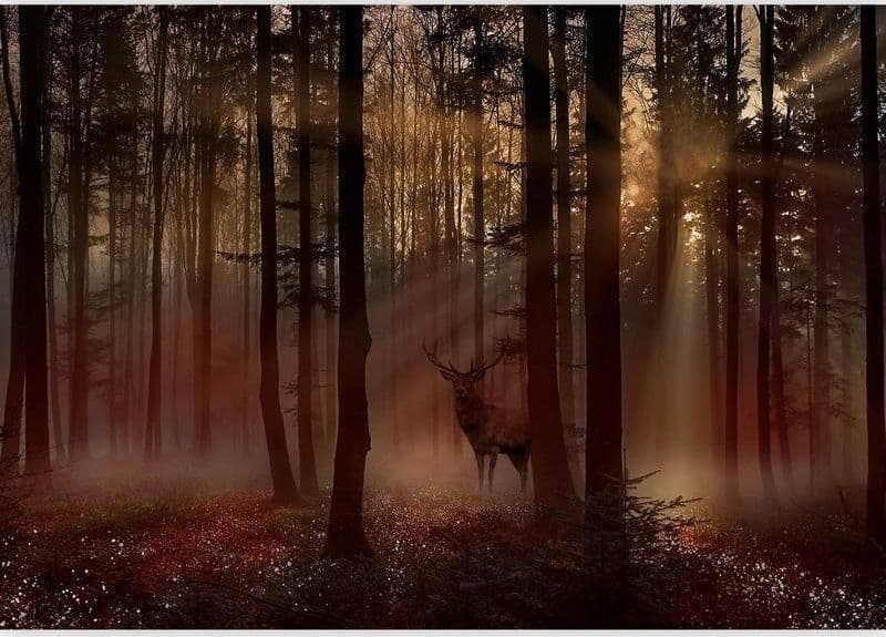 Fotomurale Mystical Forest First Variant in Carta da parati Collezione Casa - Trebisacce, commercioVirtuoso.it