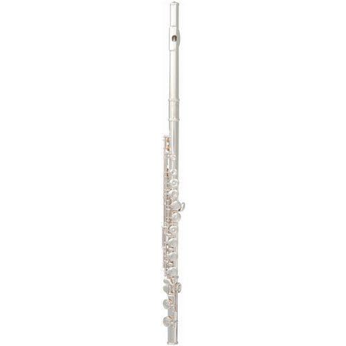 Flauti In Strumenti musicali