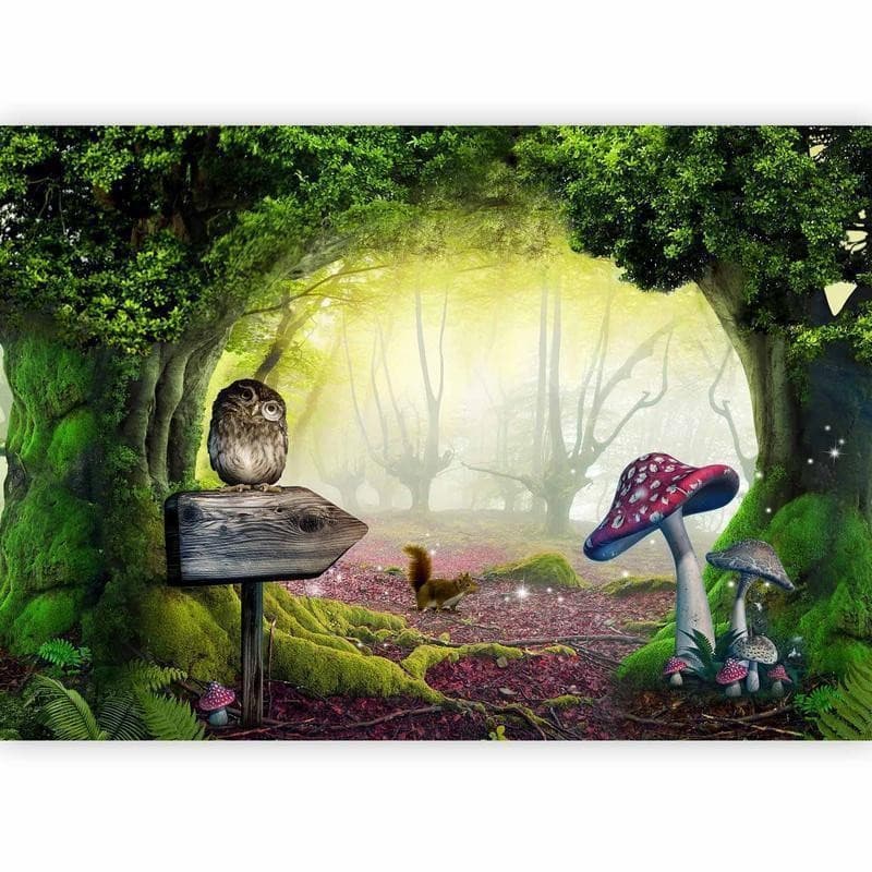 Fotomurale Angolo da gufo in Carta da parati Collezione Casa - Trebisacce, commercioVirtuoso.it