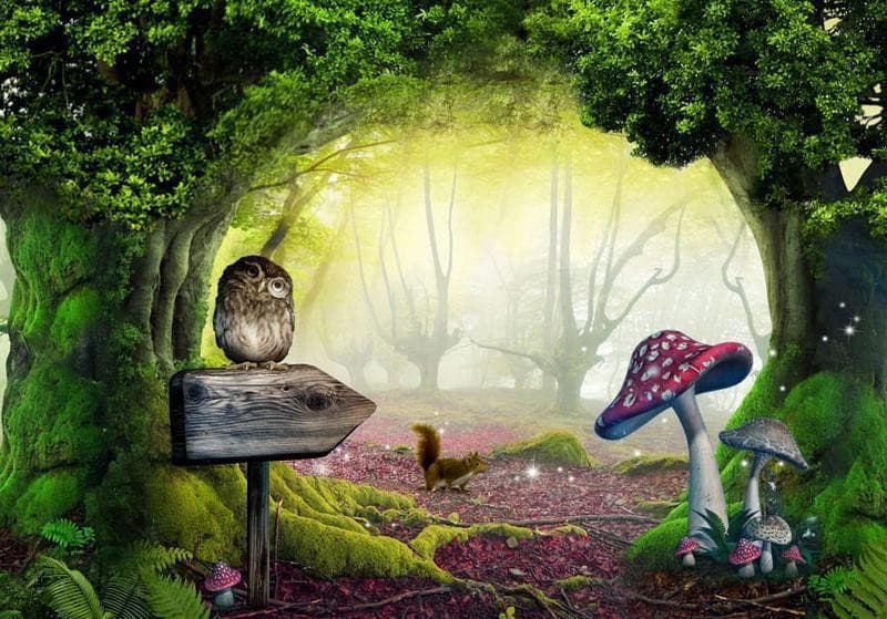 Fotomurale Angolo da gufo in Carta da parati Collezione Casa - Trebisacce, commercioVirtuoso.it