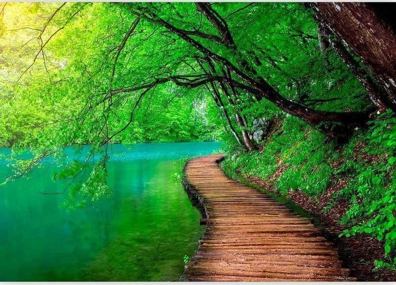 Fotomurale Green peace in Carta da parati Collezione Casa - Trebisacce, commercioVirtuoso.it
