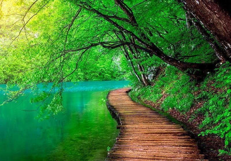 Fotomurale Green peace in Carta da parati Collezione Casa - Trebisacce, commercioVirtuoso.it