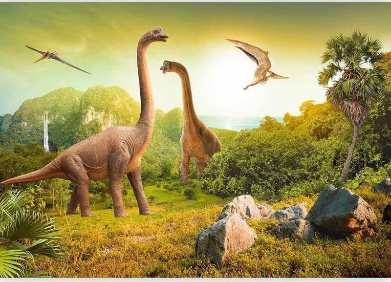 Fotomurale Dinosauri in Carta da parati Collezione Casa - Trebisacce, commercioVirtuoso.it
