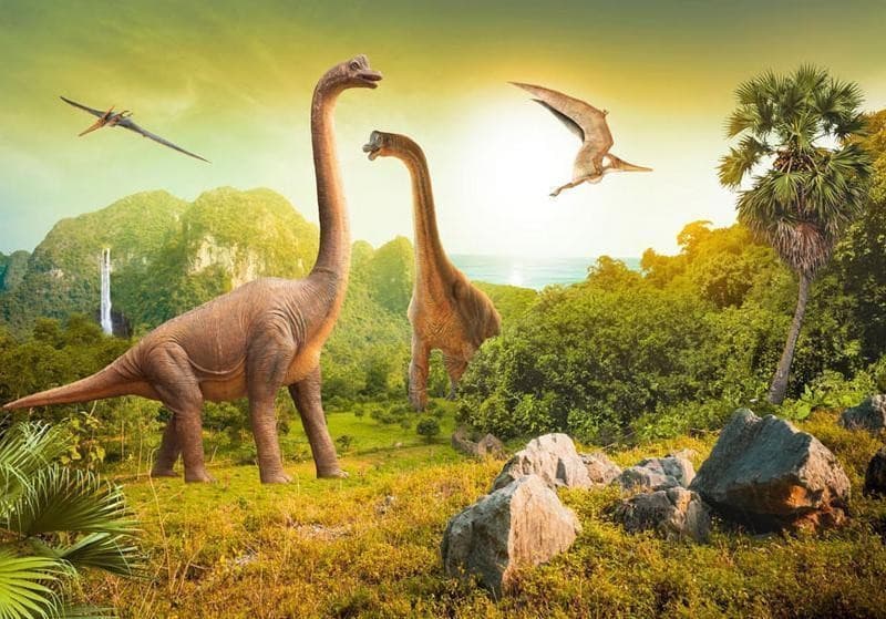Fotomurale Dinosauri in Carta da parati Collezione Casa - Trebisacce, commercioVirtuoso.it