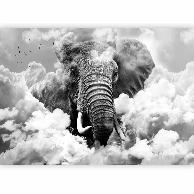 Fotomurale elefante tra le nuvole in bianco e nero in Carta da parati Collezione Casa - Trebisacce, commercioVirtuoso.it