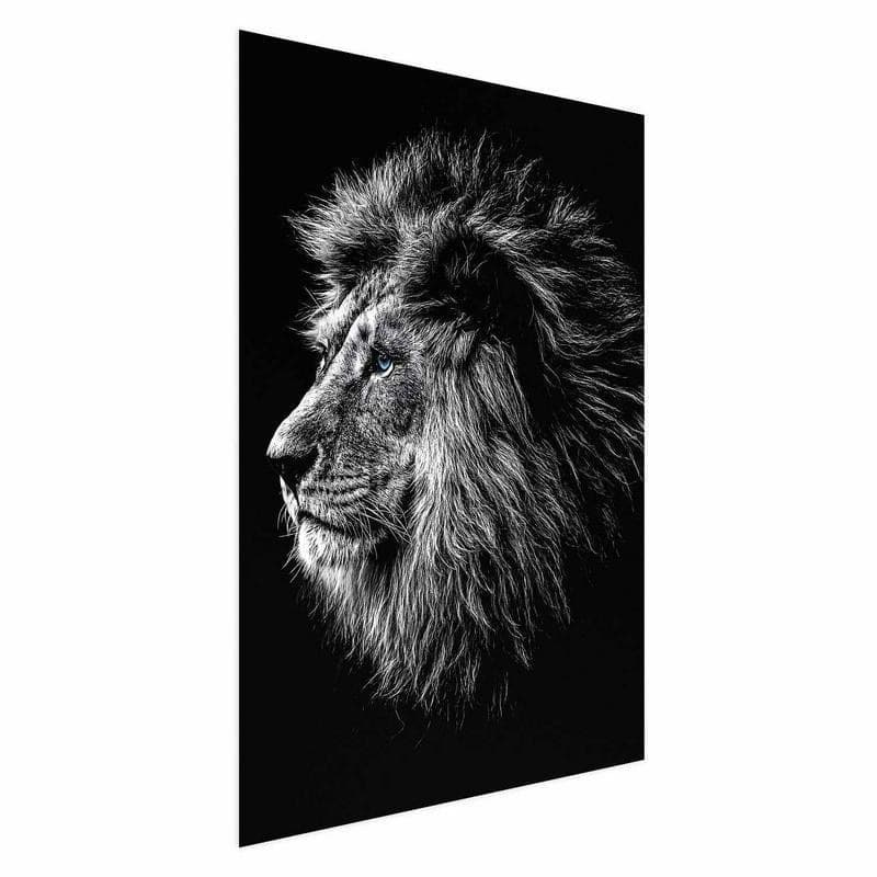 Poster - Blue-eyed Lion in Poster e stampe Collezione Casa - Trebisacce, commercioVirtuoso.it