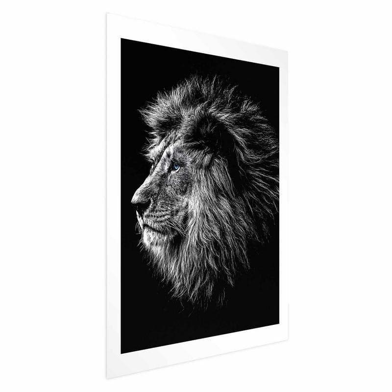 Poster - Blue-eyed Lion in Poster e stampe Collezione Casa - Trebisacce, commercioVirtuoso.it