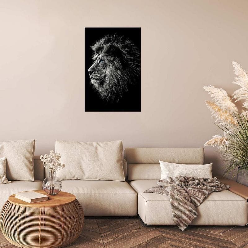 Poster - Blue-eyed Lion in Poster e stampe Collezione Casa - Trebisacce, commercioVirtuoso.it