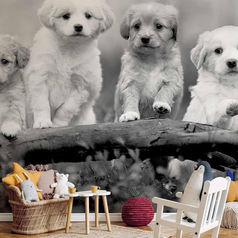 Carta da Parati Four Puppies in Carta da parati Collezione Casa - Trebisacce, commercioVirtuoso.it