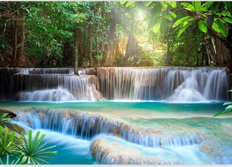 Fotomurale Risveglio della natura in Carta da parati Collezione Casa - Trebisacce, commercioVirtuoso.it
