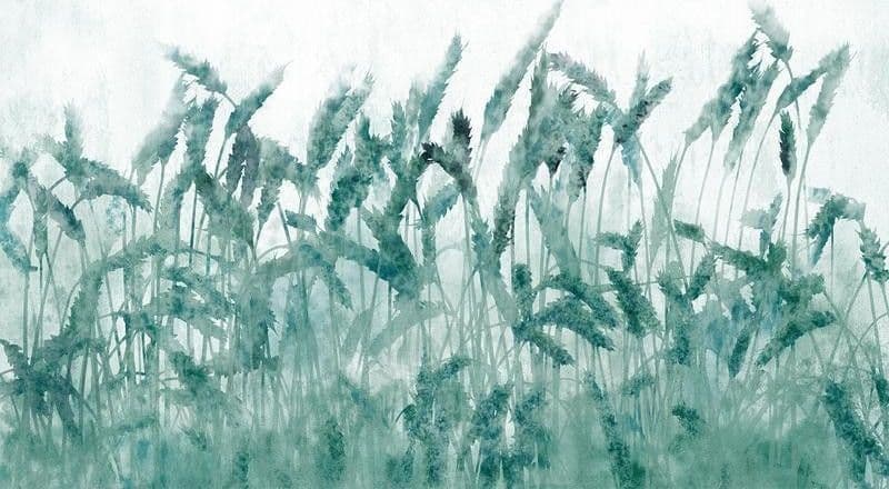 Carta da Parati Spighe di Grano Blu in Carta da parati Collezione Casa - Trebisacce, commercioVirtuoso.it