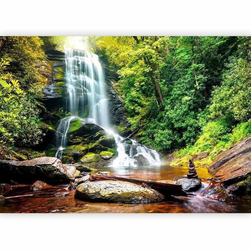 Fotomurale Meraviglia della natura in Carta da parati Collezione Casa - Trebisacce, commercioVirtuoso.it
