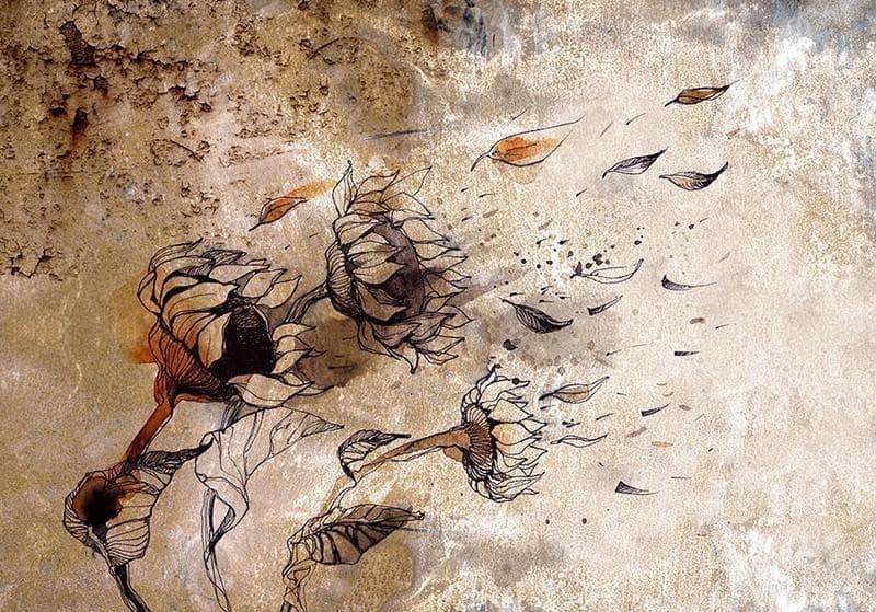 Fotomurale Breath of wind in Carta da parati Collezione Casa - Trebisacce, commercioVirtuoso.it