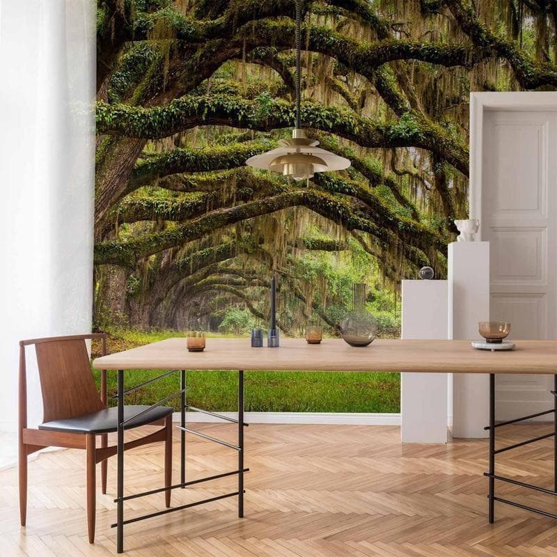 Fotomurale Tree embrace in Carta da parati Collezione Casa - Trebisacce, commercioVirtuoso.it