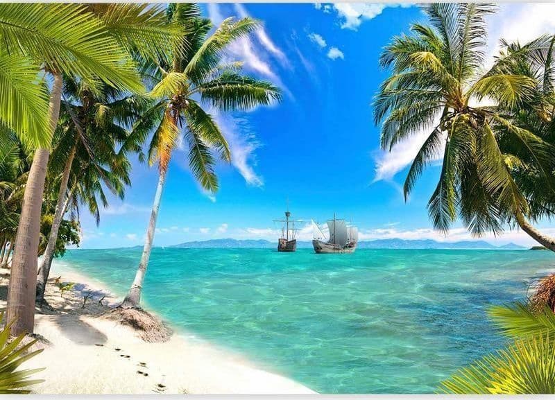 Fotomurale Le navi perdute in Carta da parati Collezione Casa - Trebisacce, commercioVirtuoso.it