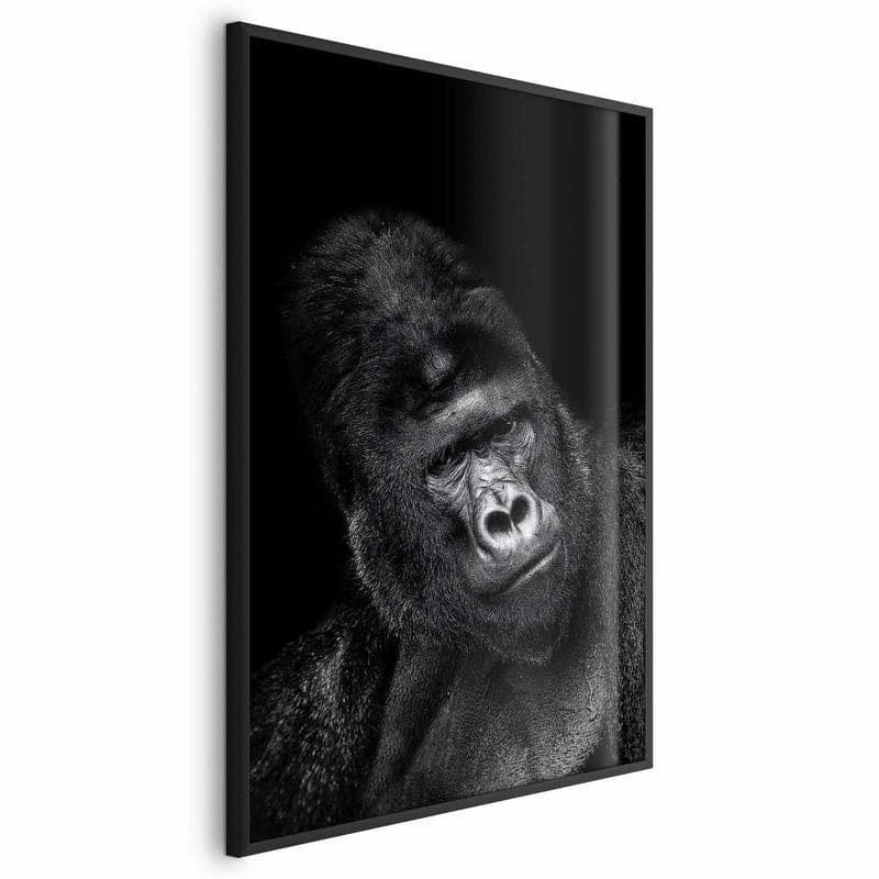 Poster - Gorilla in Poster e stampe Collezione Casa - Trebisacce, commercioVirtuoso.it