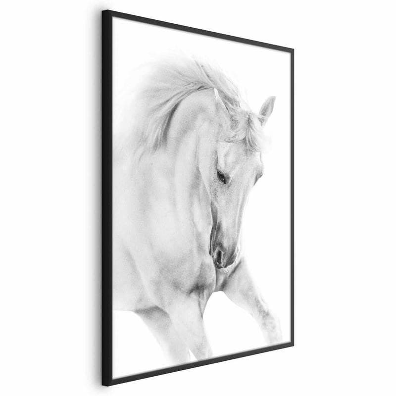 Poster - White Horse in Poster e stampe Collezione Casa - Trebisacce, commercioVirtuoso.it