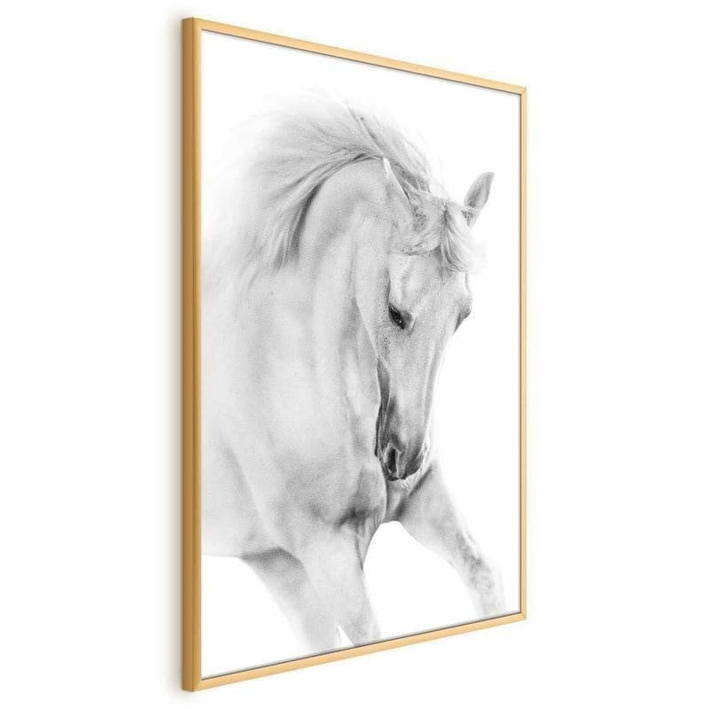 Poster - White Horse in Poster e stampe Collezione Casa - Trebisacce, commercioVirtuoso.it