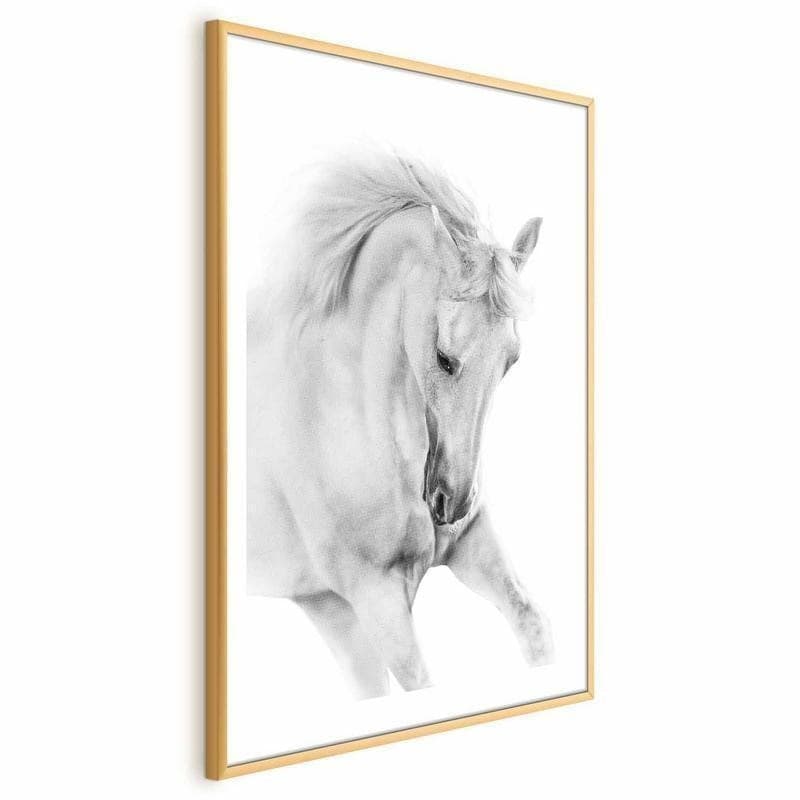 Poster - White Horse in Poster e stampe Collezione Casa - Trebisacce, commercioVirtuoso.it