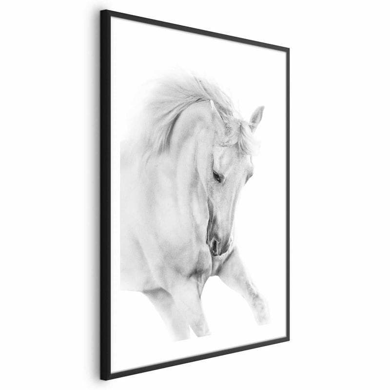 Poster - White Horse in Poster e stampe Collezione Casa - Trebisacce, commercioVirtuoso.it