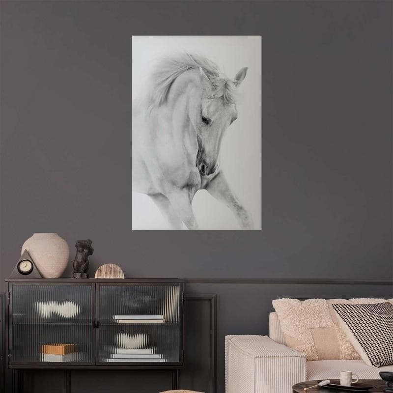Poster - White Horse in Poster e stampe Collezione Casa - Trebisacce, commercioVirtuoso.it
