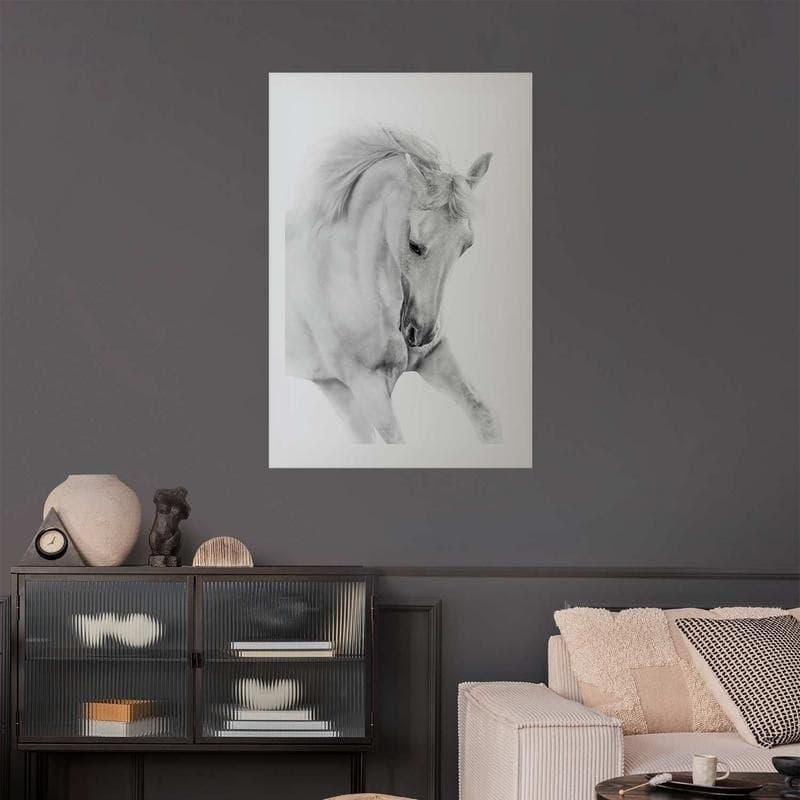 Poster - White Horse in Poster e stampe Collezione Casa - Trebisacce, commercioVirtuoso.it