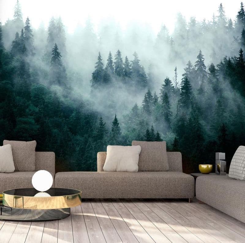 Carta da parati Nebbia nella foresta in Carta da parati Collezione Casa - Trebisacce, commercioVirtuoso.it