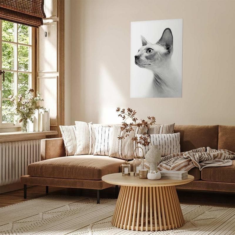 Poster - Hairless Cat in Arazzi e tappezzeria Collezione Casa - Trebisacce, commercioVirtuoso.it