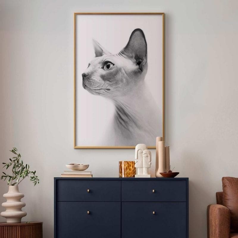 Poster - Hairless Cat in Arazzi e tappezzeria Collezione Casa - Trebisacce, commercioVirtuoso.it