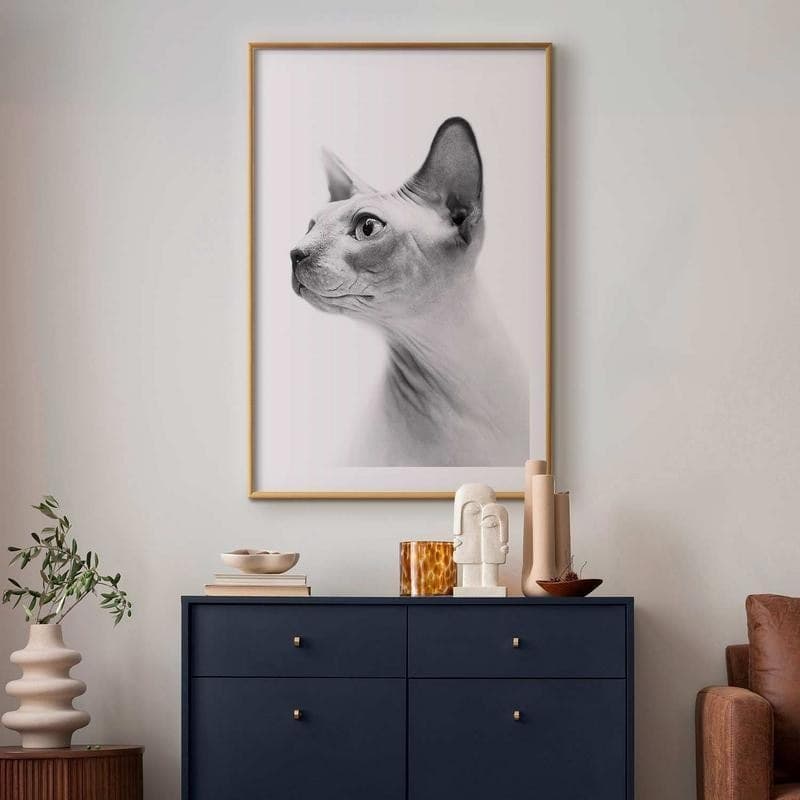 Poster - Hairless Cat in Arazzi e tappezzeria Collezione Casa - Trebisacce, commercioVirtuoso.it