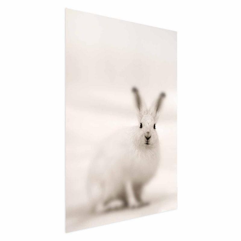 Poster - Fearful Look in Poster e stampe Collezione Casa - Trebisacce, commercioVirtuoso.it