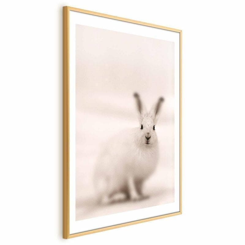 Poster - Fearful Look in Poster e stampe Collezione Casa - Trebisacce, commercioVirtuoso.it