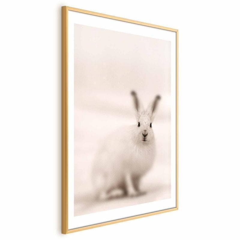 Poster - Fearful Look in Poster e stampe Collezione Casa - Trebisacce, commercioVirtuoso.it
