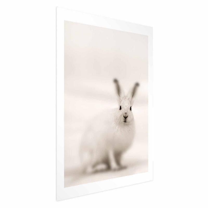 Poster - Fearful Look in Poster e stampe Collezione Casa - Trebisacce, commercioVirtuoso.it