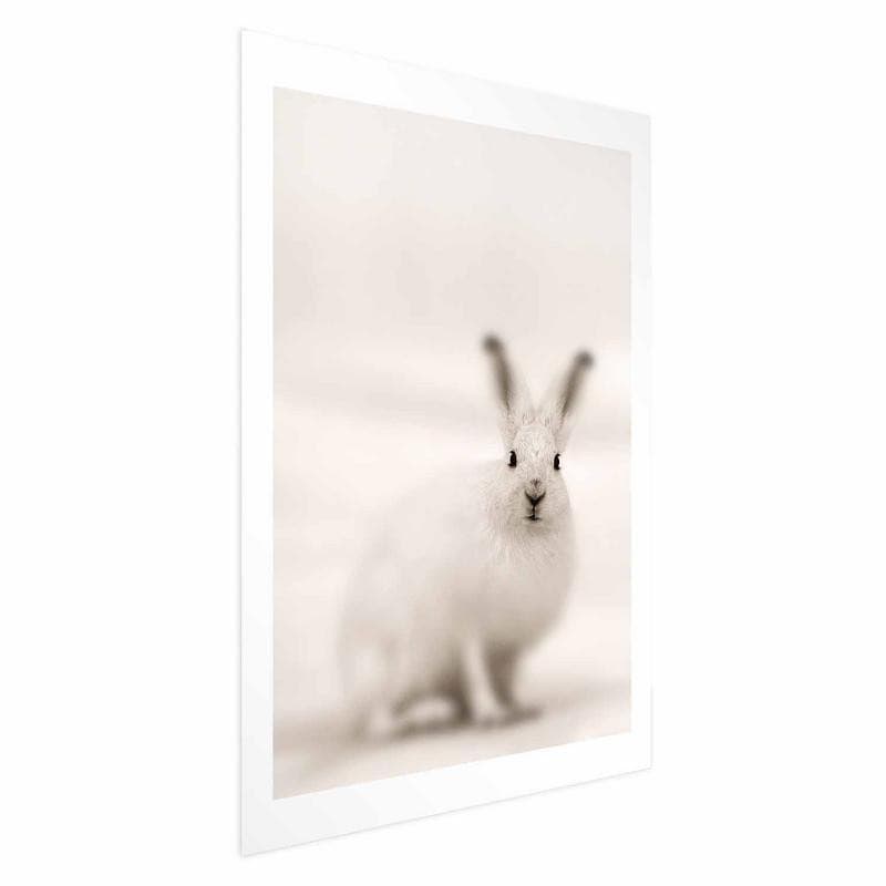 Poster - Fearful Look in Poster e stampe Collezione Casa - Trebisacce, commercioVirtuoso.it