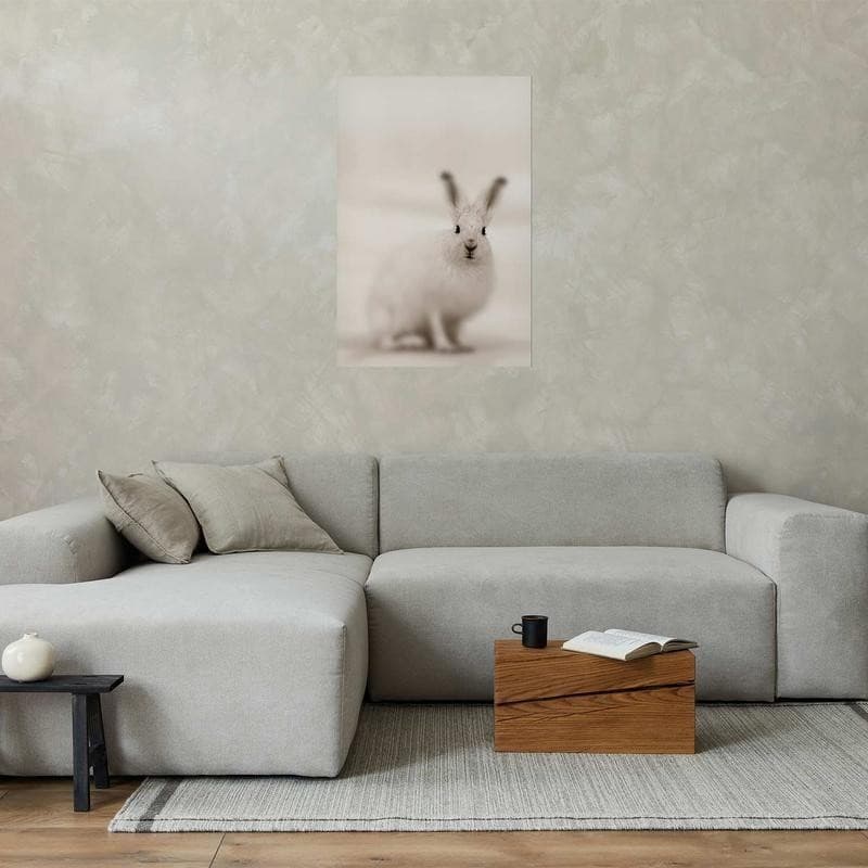 Poster - Fearful Look in Poster e stampe Collezione Casa - Trebisacce, commercioVirtuoso.it
