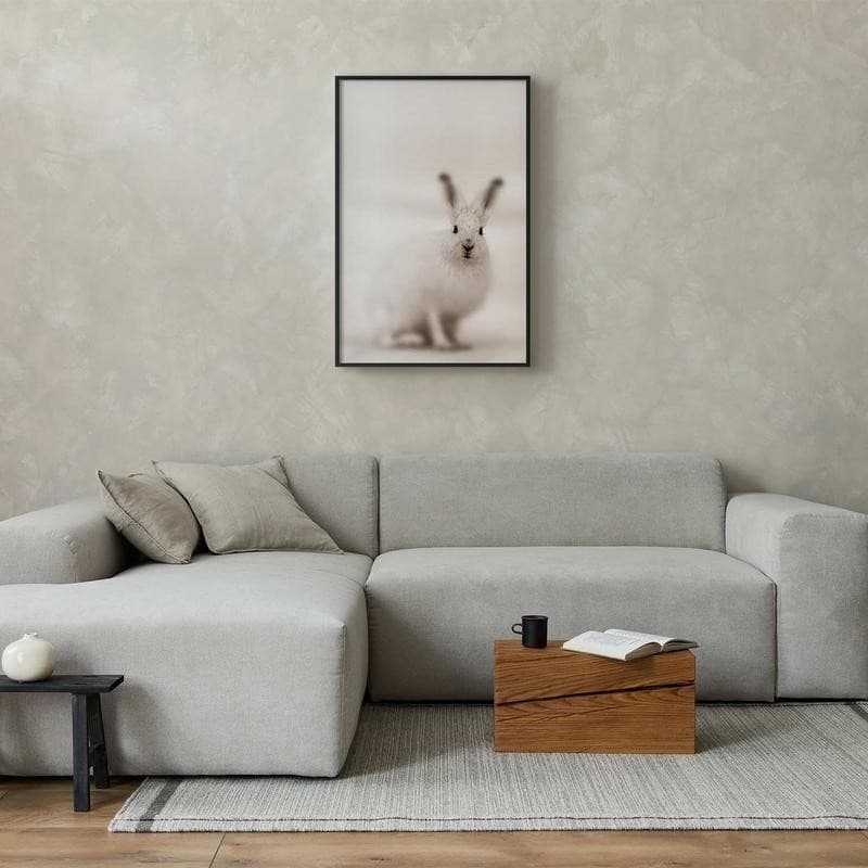 Poster - Fearful Look in Poster e stampe Collezione Casa - Trebisacce, commercioVirtuoso.it