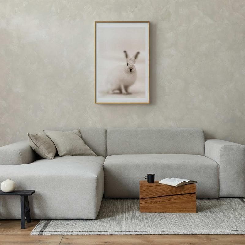 Poster - Fearful Look in Poster e stampe Collezione Casa - Trebisacce, commercioVirtuoso.it