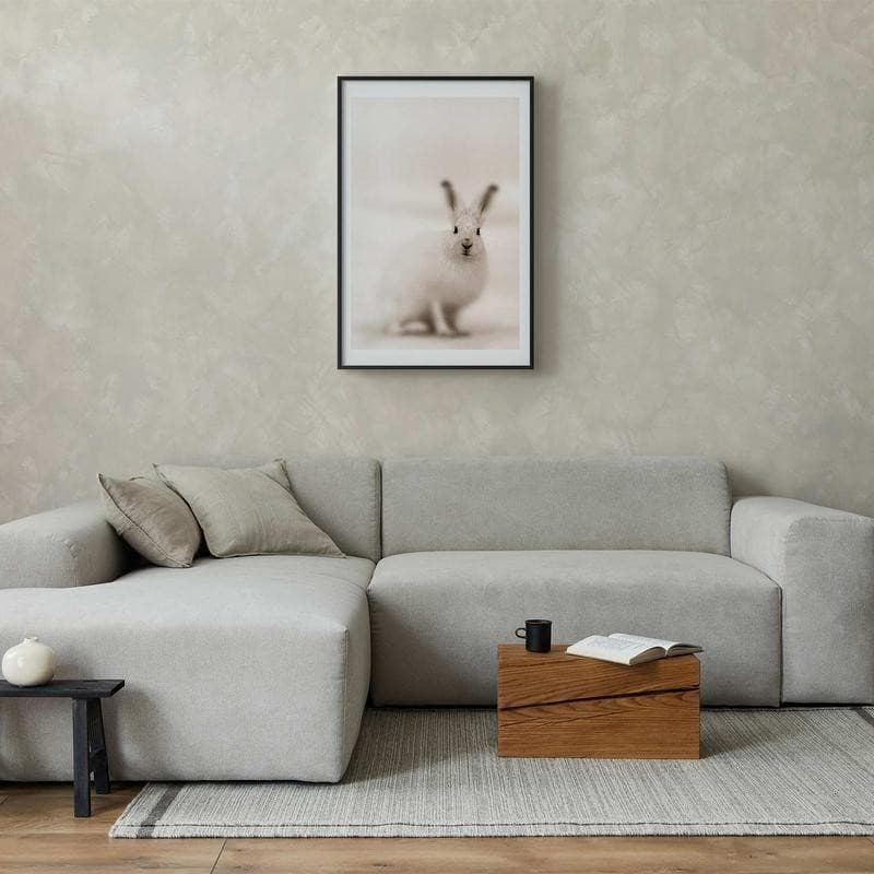 Poster - Fearful Look in Poster e stampe Collezione Casa - Trebisacce, commercioVirtuoso.it