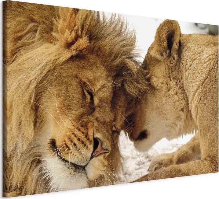 Quadro Love's Secret in Poster e stampe Collezione Casa - Trebisacce, commercioVirtuoso.it