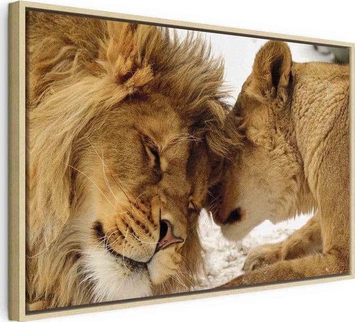 Quadro Love's Secret in Poster e stampe Collezione Casa - Trebisacce, commercioVirtuoso.it