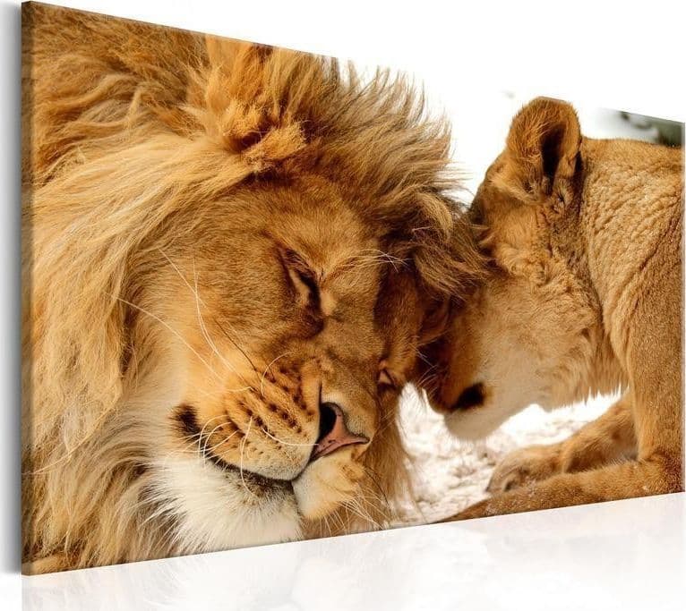 Quadro Love's Secret in Poster e stampe Collezione Casa - Trebisacce, commercioVirtuoso.it